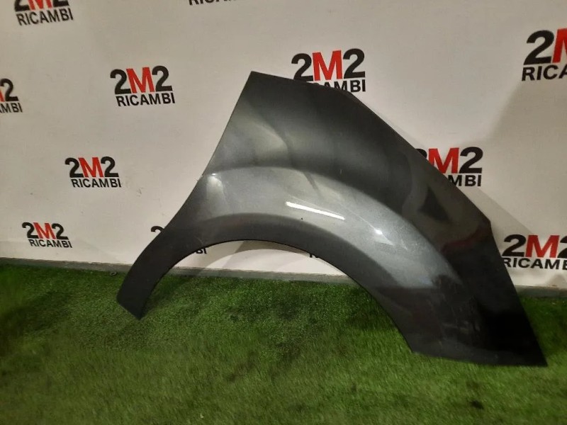 Parafango ANT DX 7841Z7 Citroen C3 II 2010