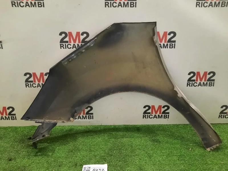 Parafango ANT DX 7841Z7 Citroen C3 II 2013