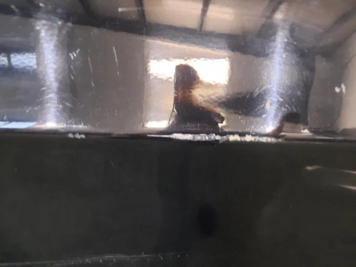 Porta ANT DX PORTA PORTIERA SPORTELLO E90 41007203644 Bmw Serie 3 E90 Berlina 2005