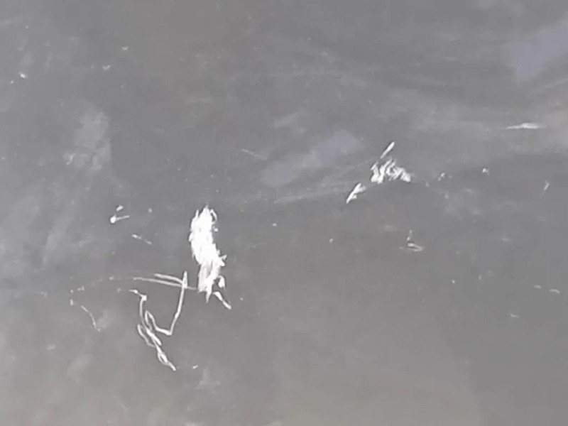 Parafango ANT DX 5216949 Ford KUGA II 2013