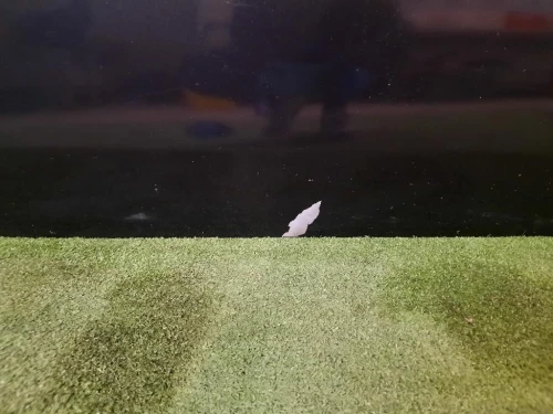 Porta ANT DX 52136362 Fiat 500 II 2008