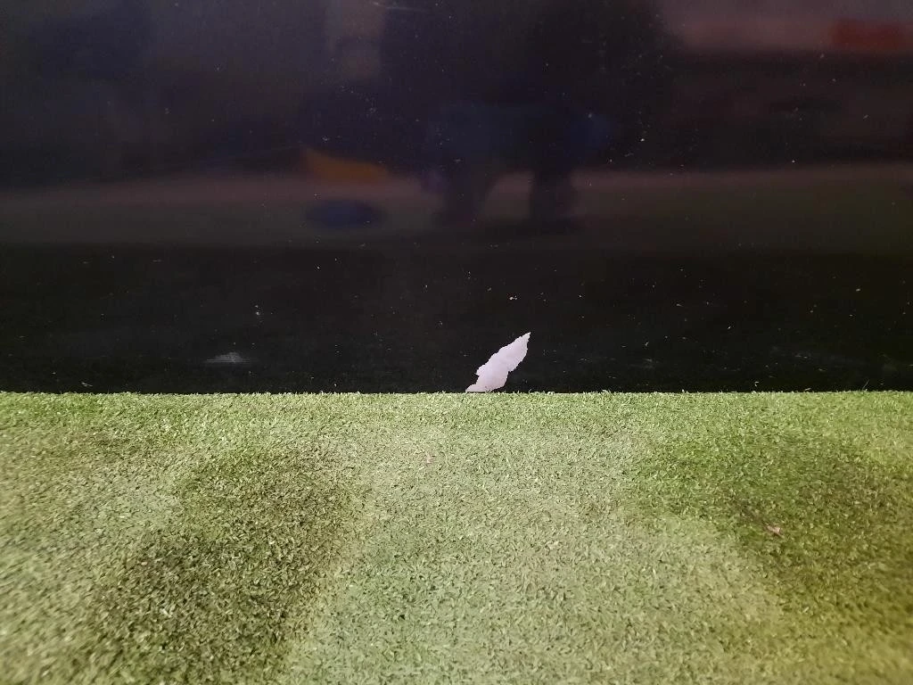 Porta ANT DX 52136362 Fiat 500 II 2008