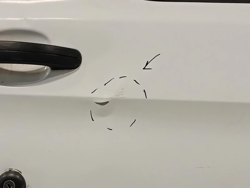 Porta ANT DX 2445429 Ford Transit Custom I 2013