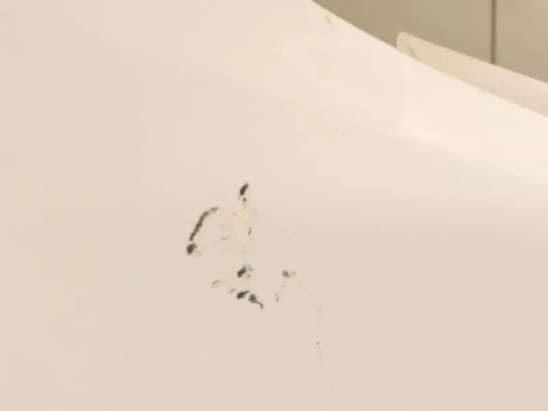 Parafango ANT DX 42372138 Opel Mokka 2013