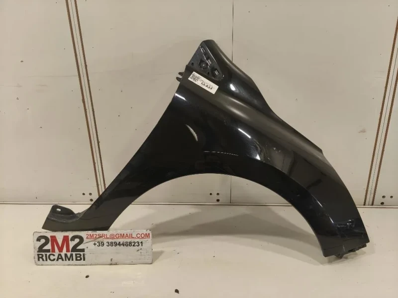 Parafango ANT DX 631002841R Renault CLIO IV 2013