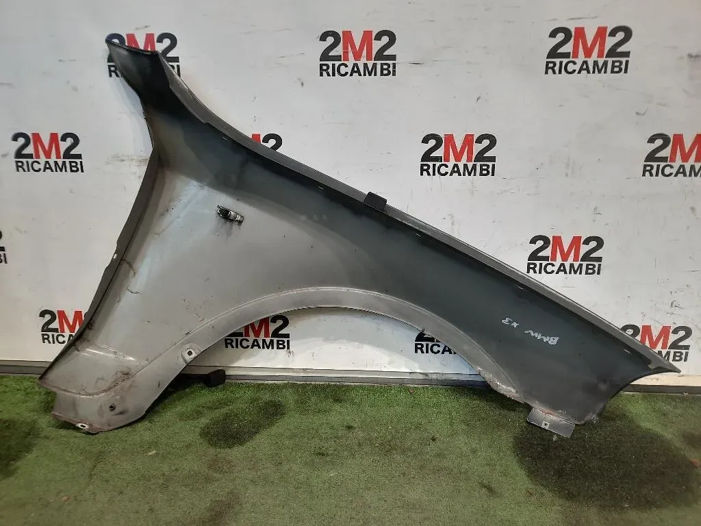 Parafango ANT SX BM8013014 Bmw X3 E83 2004