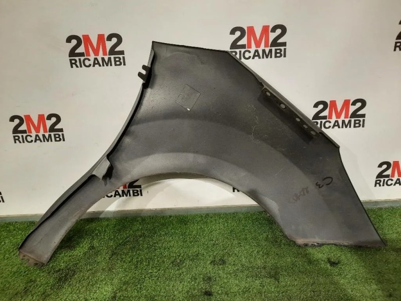 Parafango ANT SX DIFFETTI IN FOTO Citroen C3 II 2010