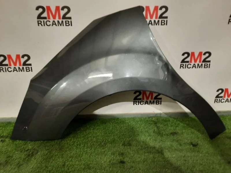 Parafango ANT SX DIFFETTI IN FOTO Citroen C3 II 2010