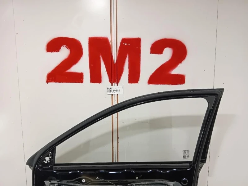 Porta ANT DX 10318336SEPP Mg ZS II 2020