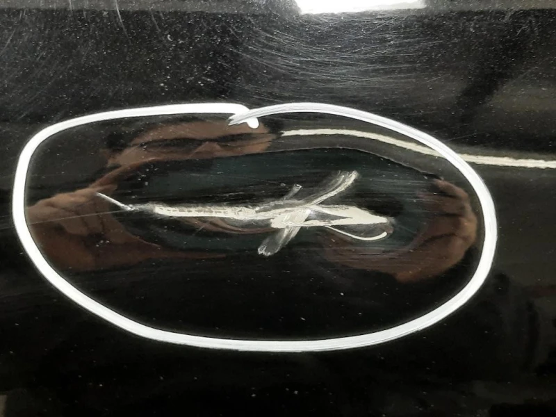 Porta ANT DX 41007327446 Mini MINI ONE F55 2014