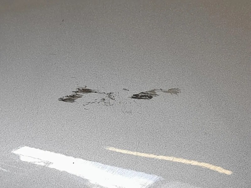 Parafango ANT SX 8X2316135 Jaguar XF I 2008