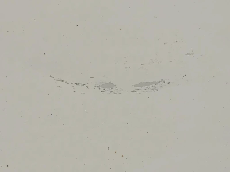 Porta ANT DX 95531021 Opel Vivaro B 2015