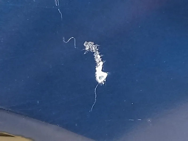 Parafango ANT SX A1708800118 Mercedes Classe SLK R170 1997