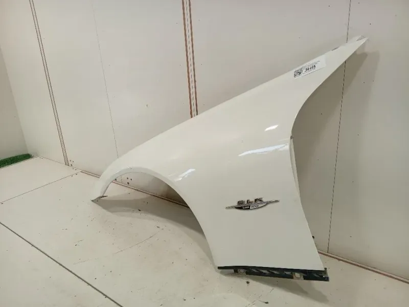 Parafango ANT SX A1718810114 Mercedes Classe SLK R171 2004