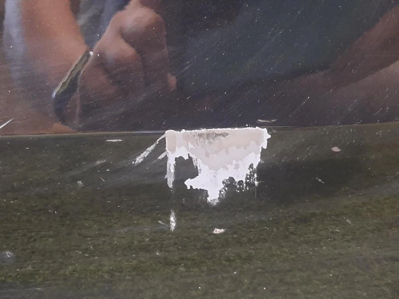 Porta ANT DX A4537201601 Smart Forfour 453 2015