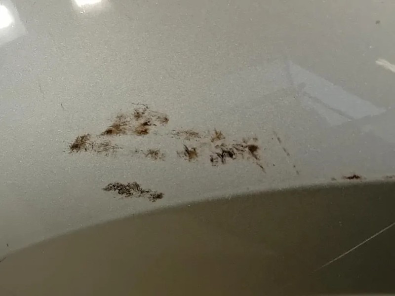 Parafango ANT SX 42372137 Opel Mokka 2013