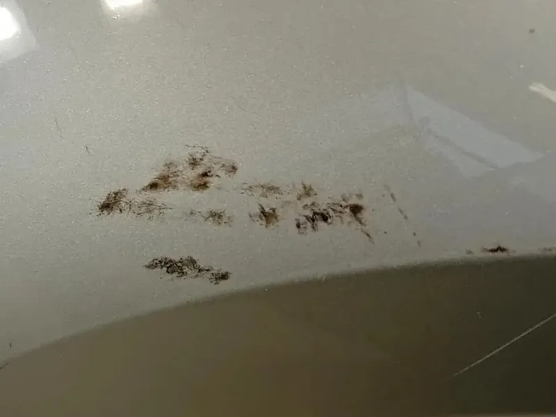 Parafango ANT SX 42372137 Opel Mokka 2013