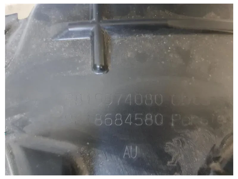 Parasassi Passaruota Interno ANT DX 9819974080 9818684580 Peugeot 308 I 2012