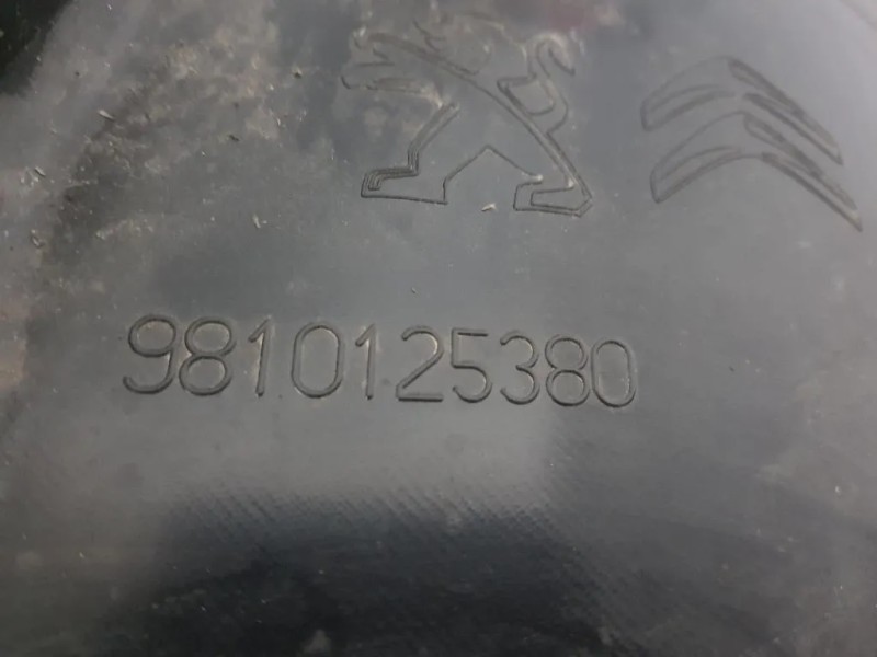 Parasassi Passaruota Interno ANT DX 9810125380 Peugeot 5008 II 2017