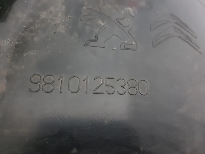 Parasassi Passaruota Interno ANT DX 9810125380 Peugeot 5008 II 2017