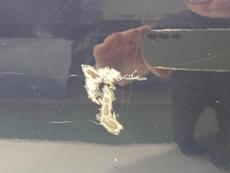 Porta ANT SX 41007284511 Bmw Serie 1 F20 Berlina 2012