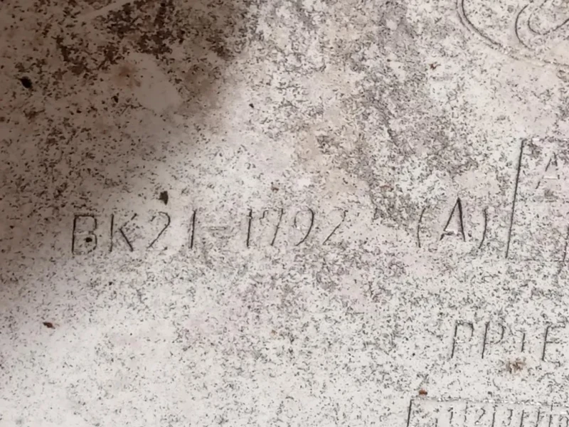 Paraurti Angolare POST SX BK21-17927-A Ford Transit Custom I 2013