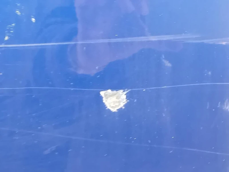 Porta ANT SX 2445470 Ford Transit Custom I 2013