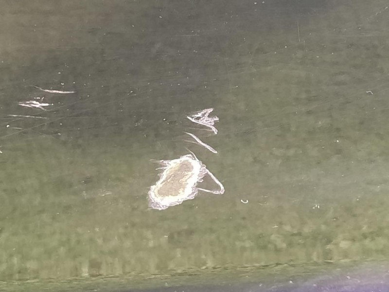 Porta ANT SX C2Z2061 Jaguar XF I 2008