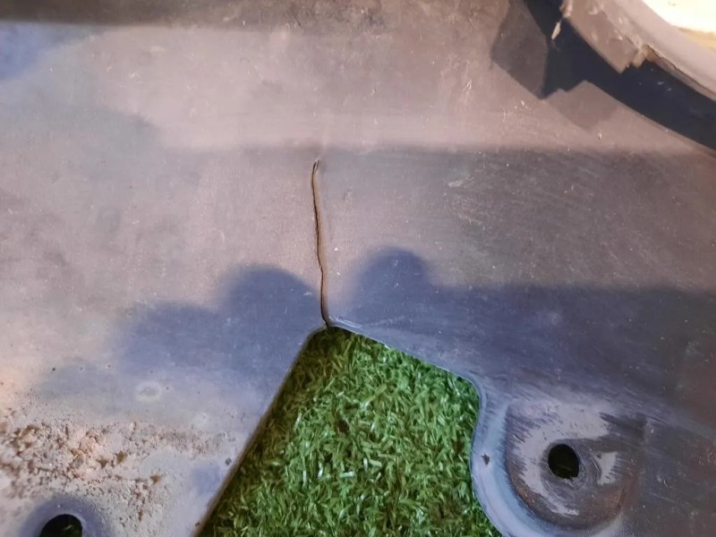 Paraurti ANT 51118099895 M SPORT Bmw Serie 3 G20 Berlina 2018