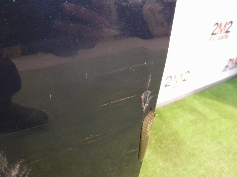 Porta ANT SX NUDA C2Z2061 Jaguar XF I 2008