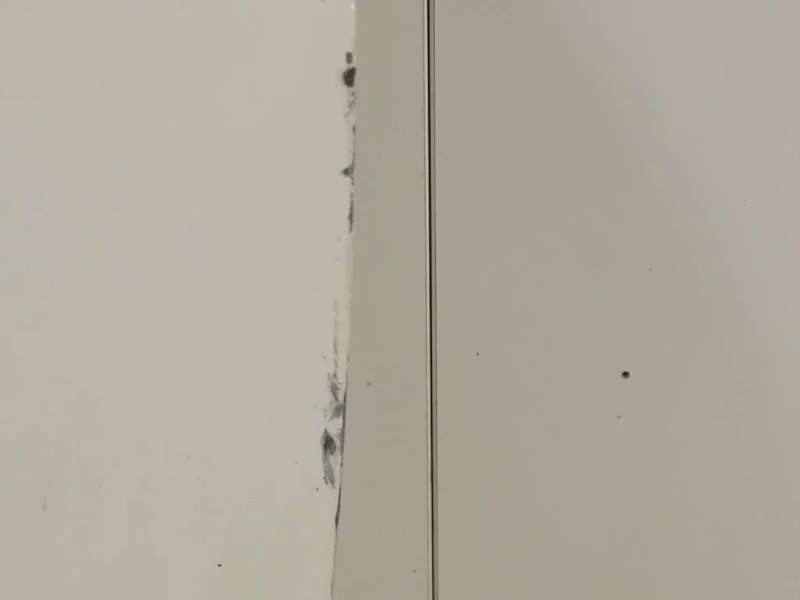 Porta ANT SX 41009628767 Mini MINI Cooper R56 2007