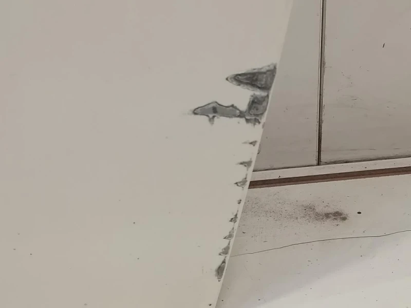 Porta ANT SX 41009628767 Mini MINI Cooper R56 2007