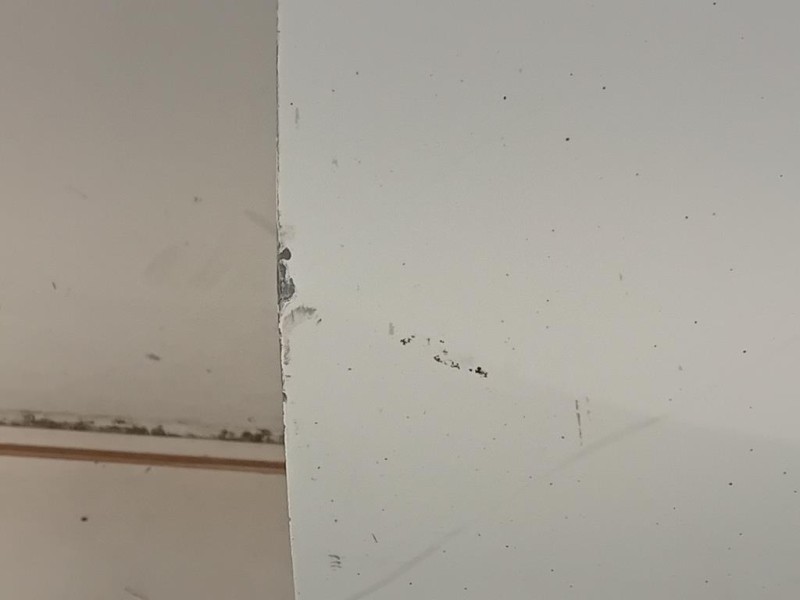 Porta ANT SX 95519691 Opel Combo D 2012