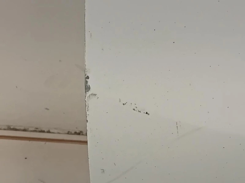 Porta ANT SX 95519691 Opel Combo D 2012