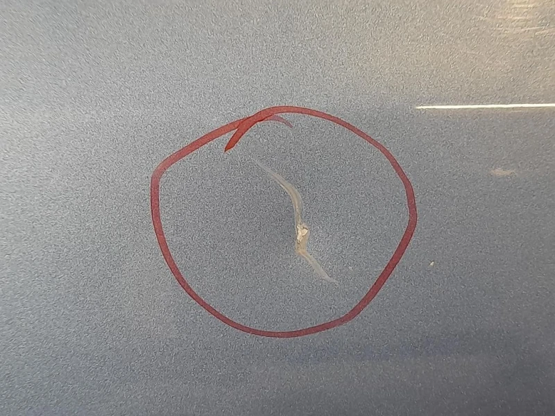 Porta ANT SX 6700247071 Toyota Prius II 2009