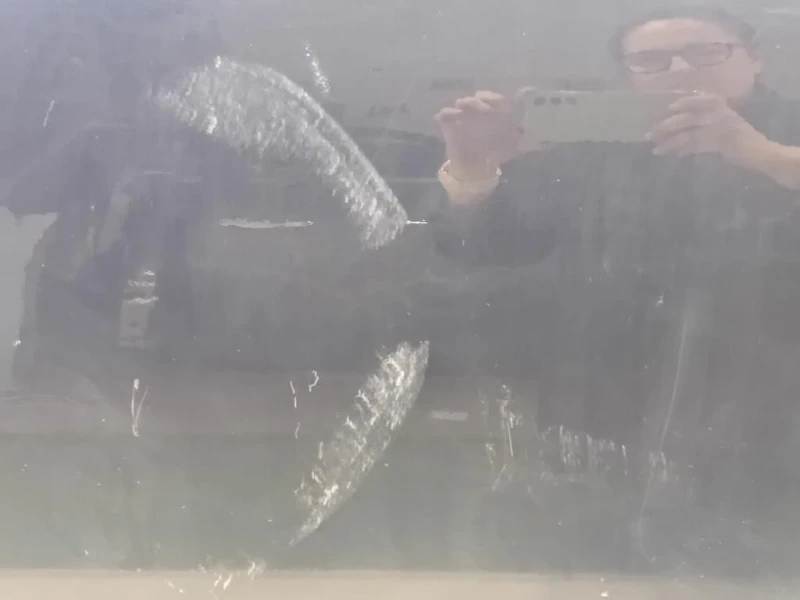 Porta ANT SX 7N0831055AF Volkswagen Sharan IV 2015