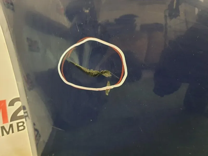 Paraurti ANT NUDO PRASCO 822720365 PRASCO Opel Insignia A SW 2009