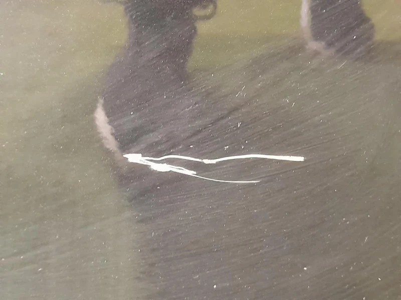 Porta POST DX 41009628756 Bmw Serie 5 F10 Berlina 2010