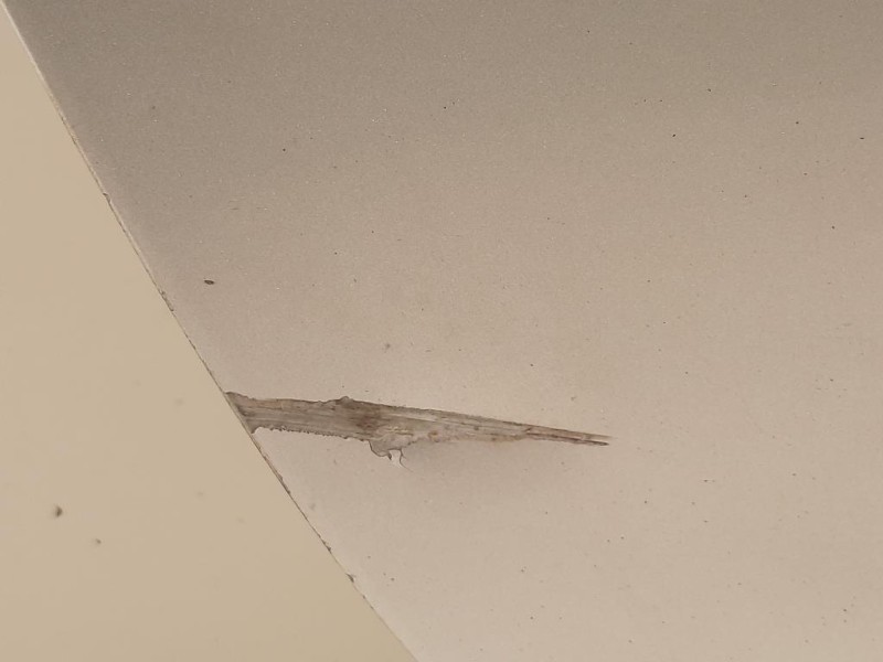 Porta POST DX C2Z2013 Jaguar XF I 2008