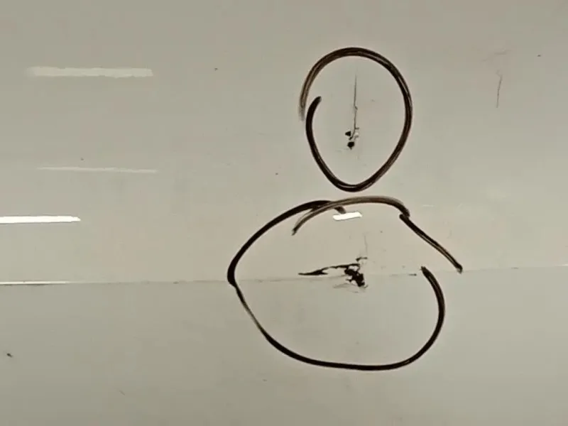 Paraurti POST 8P3 807 511 Audi A3 8PA Sportback 2008