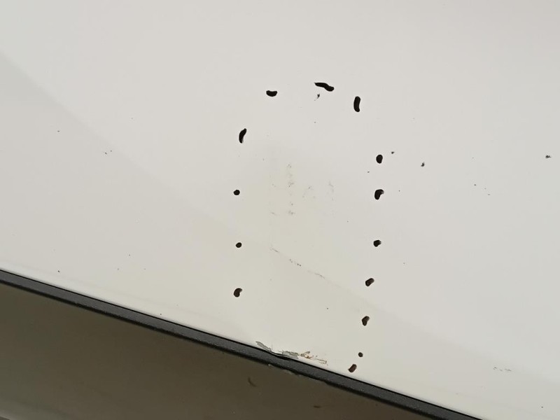 Porta POST DX 42558668 Opel Mokka 2013