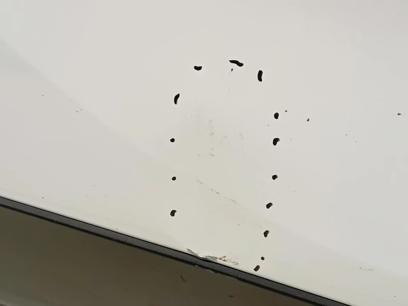 Porta POST DX 42558668 Opel Mokka 2013