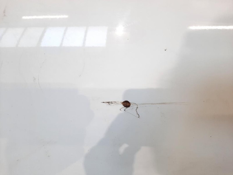 Porta POST DX 670030D190 Toyota Yaris IV 2014