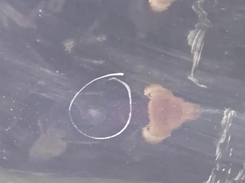 Porta POST DX PORTA POST DX Volkswagen Sharan IV 2015