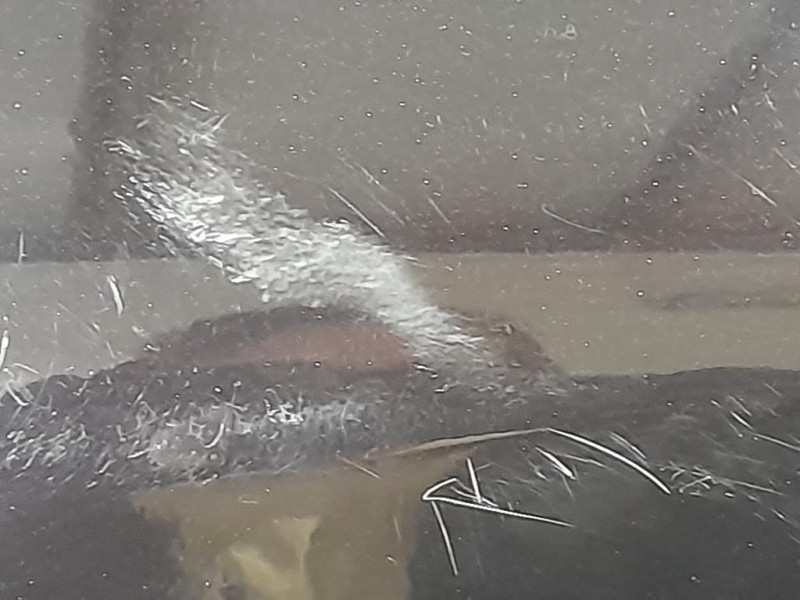 Paraurti POST 850222027R Dacia Duster II 2018