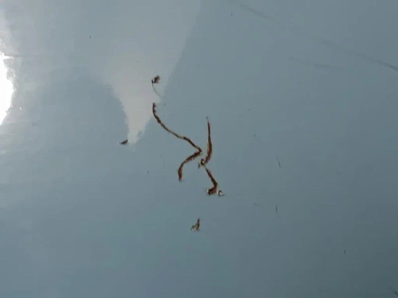 Paraurti POST 735125627 Fiat 500 II 2015