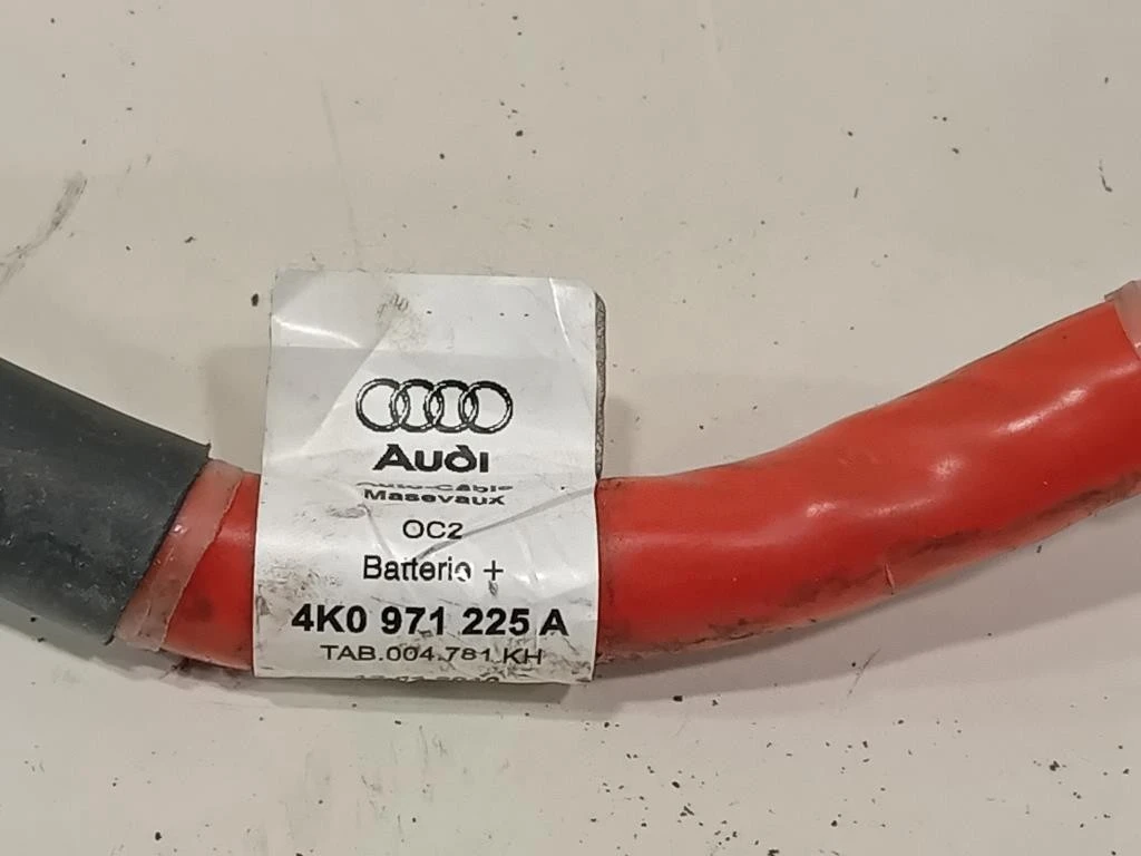 Caricabatteria 4K0 971 225 A Audi A6 4a5c8 Avant 2018