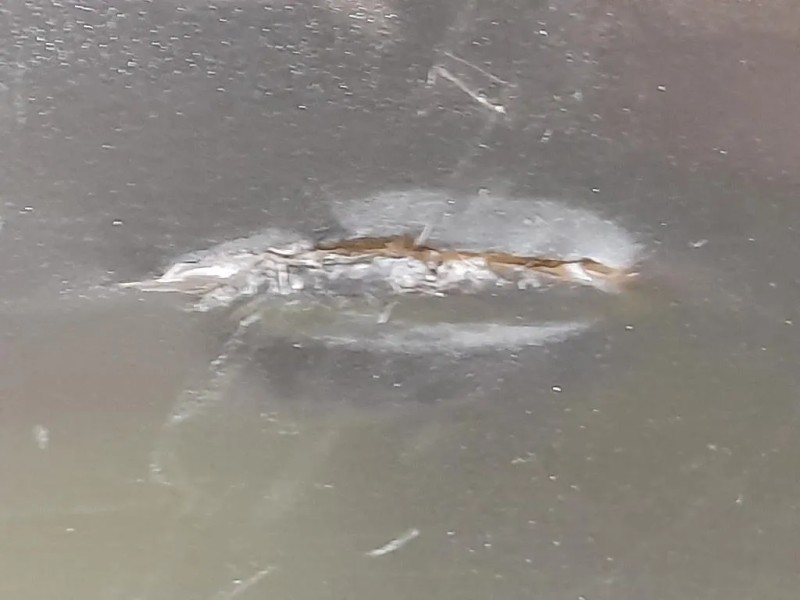 Paraurti POST C2Z2148XXX Jaguar XF I 2008