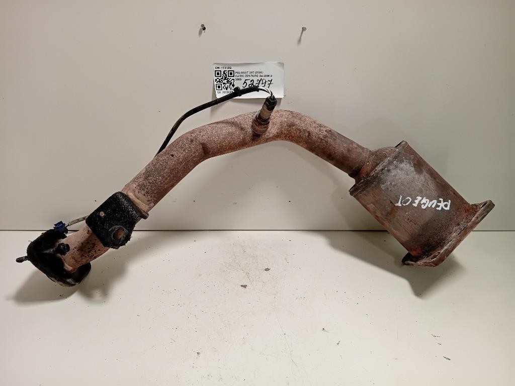 Catalizzatore 1731ZQ Peugeot 207 2006