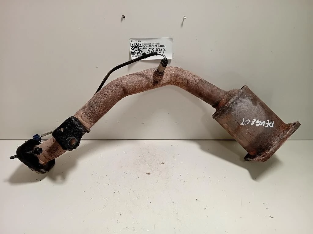 Catalizzatore 1731ZQ Peugeot 207 2006